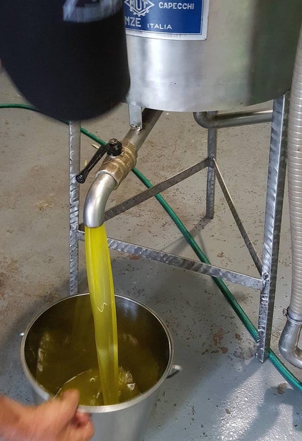 Olive oil 1