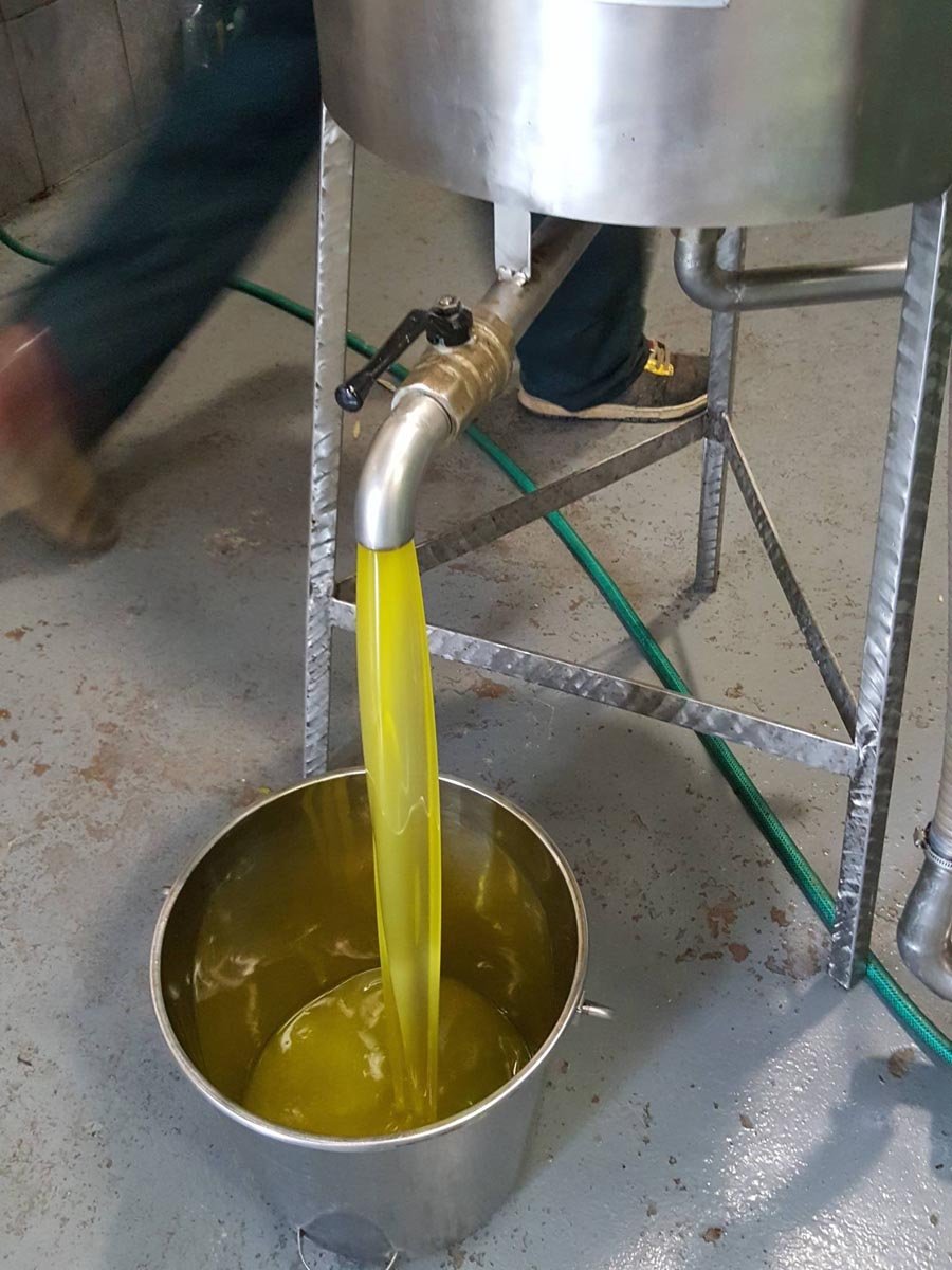 Olive oil 2