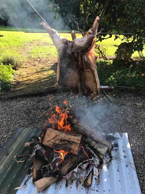 Pig on a spit 4