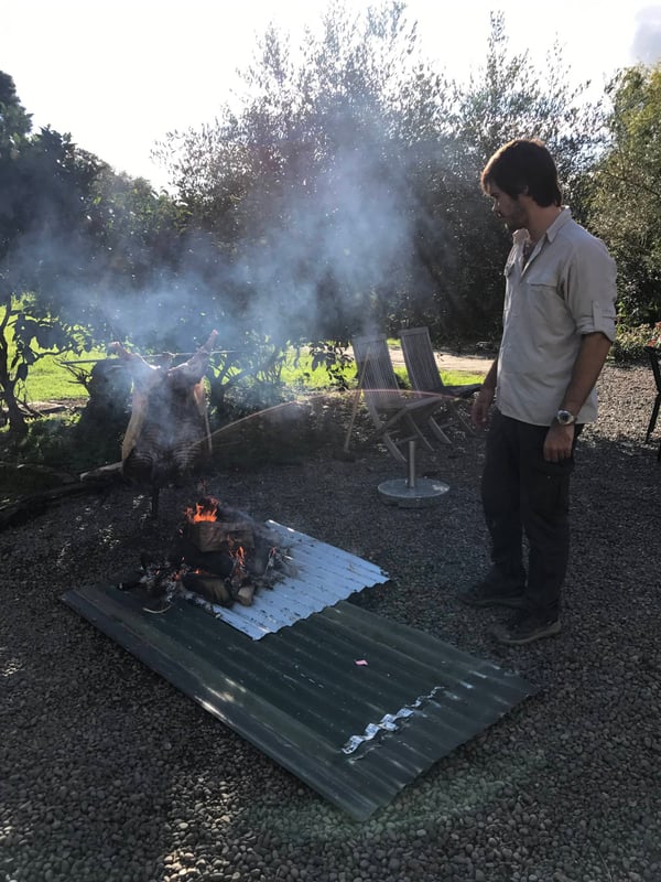 Pig on a spit 5