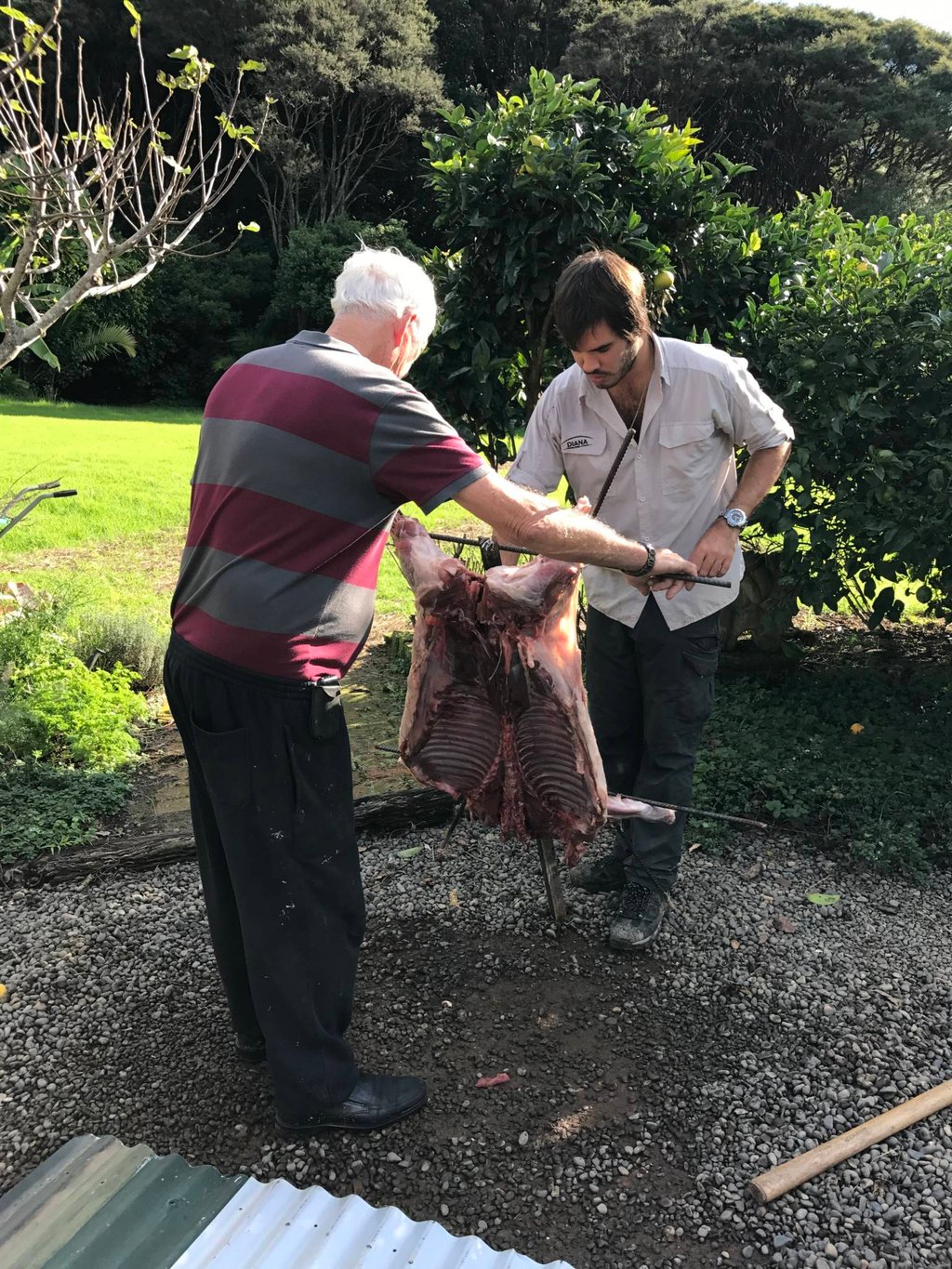 Pig on the spit 2