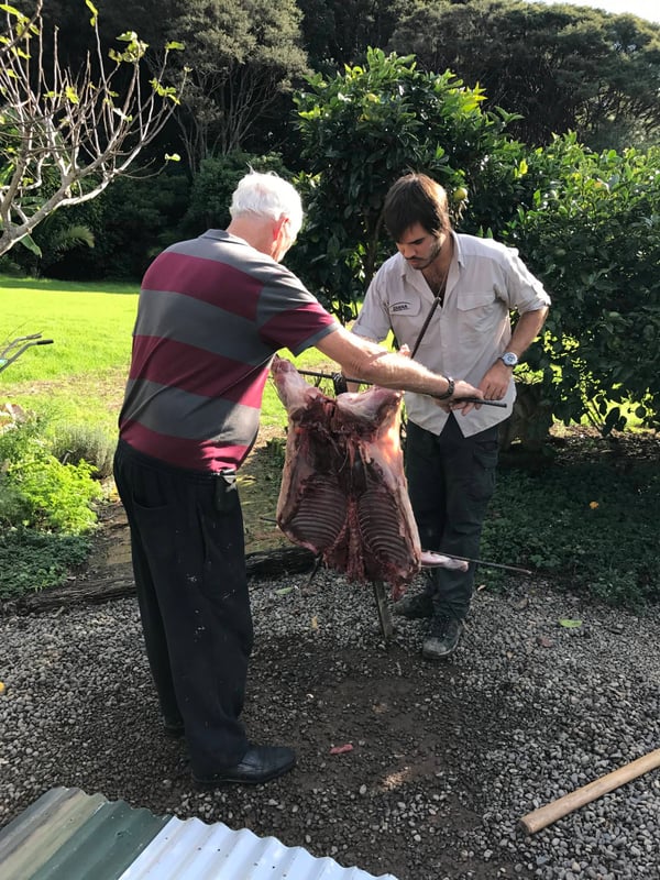 Pig on the spit 2