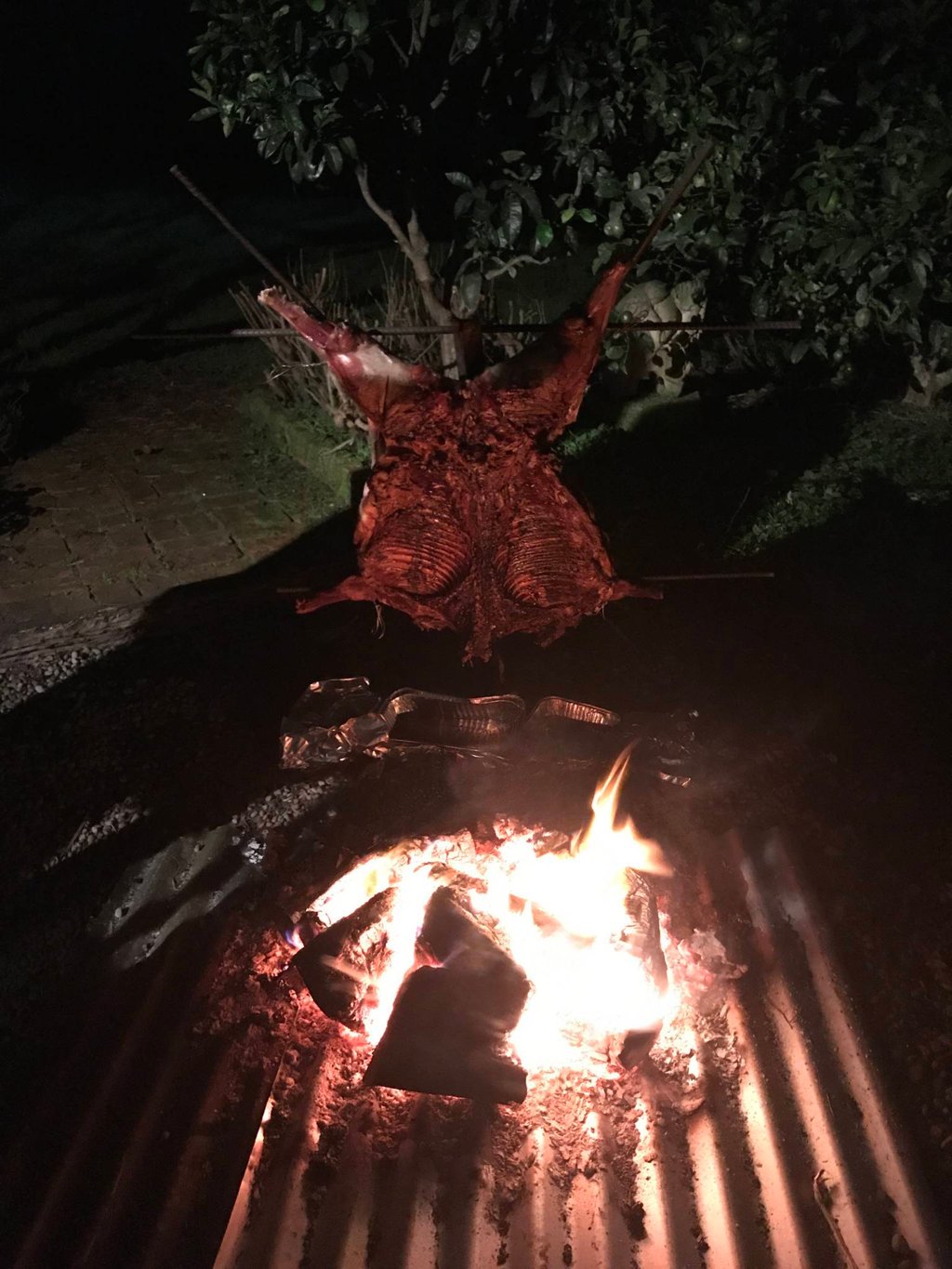 Pig on the spit 3