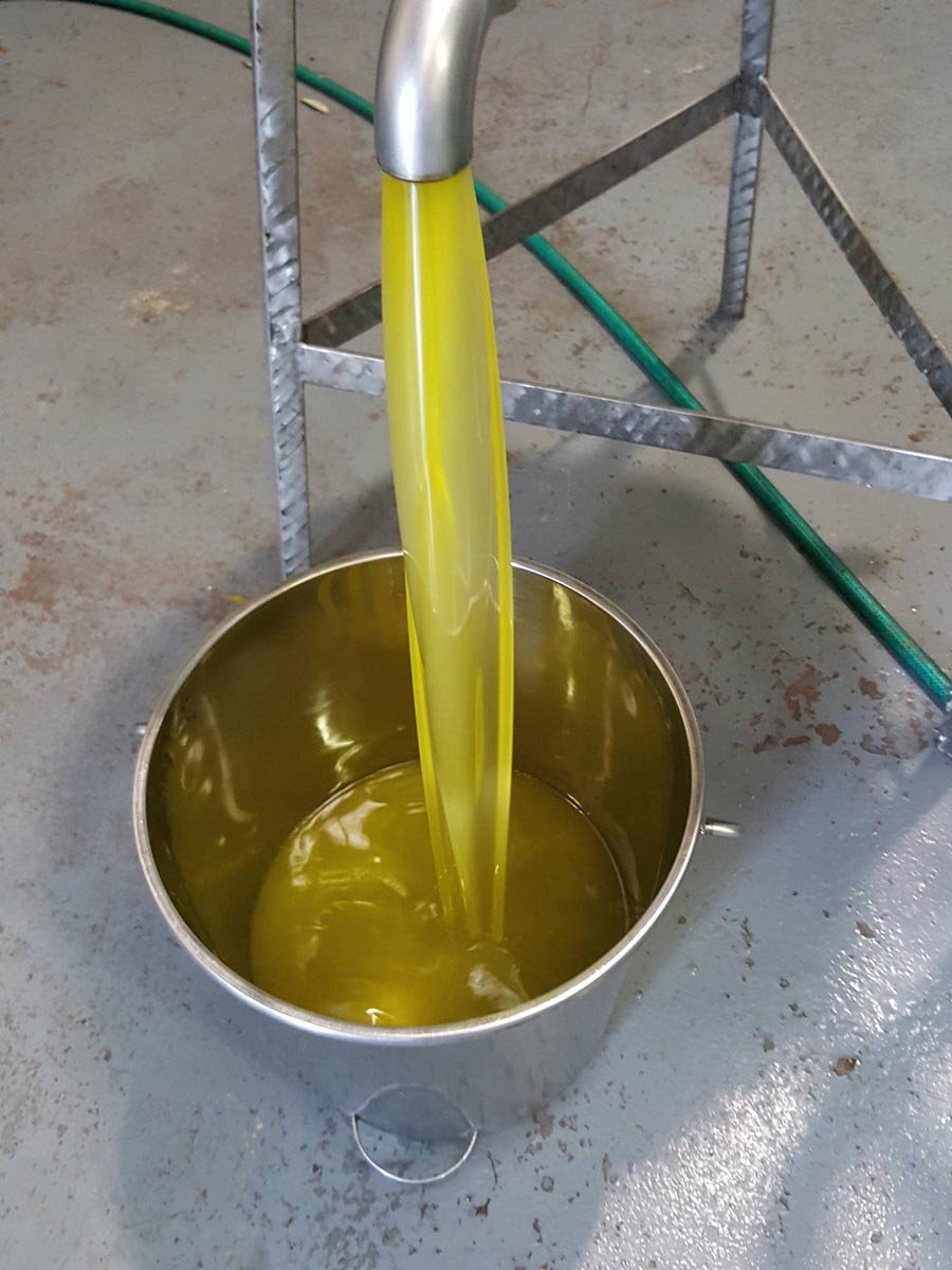 olive oil 3