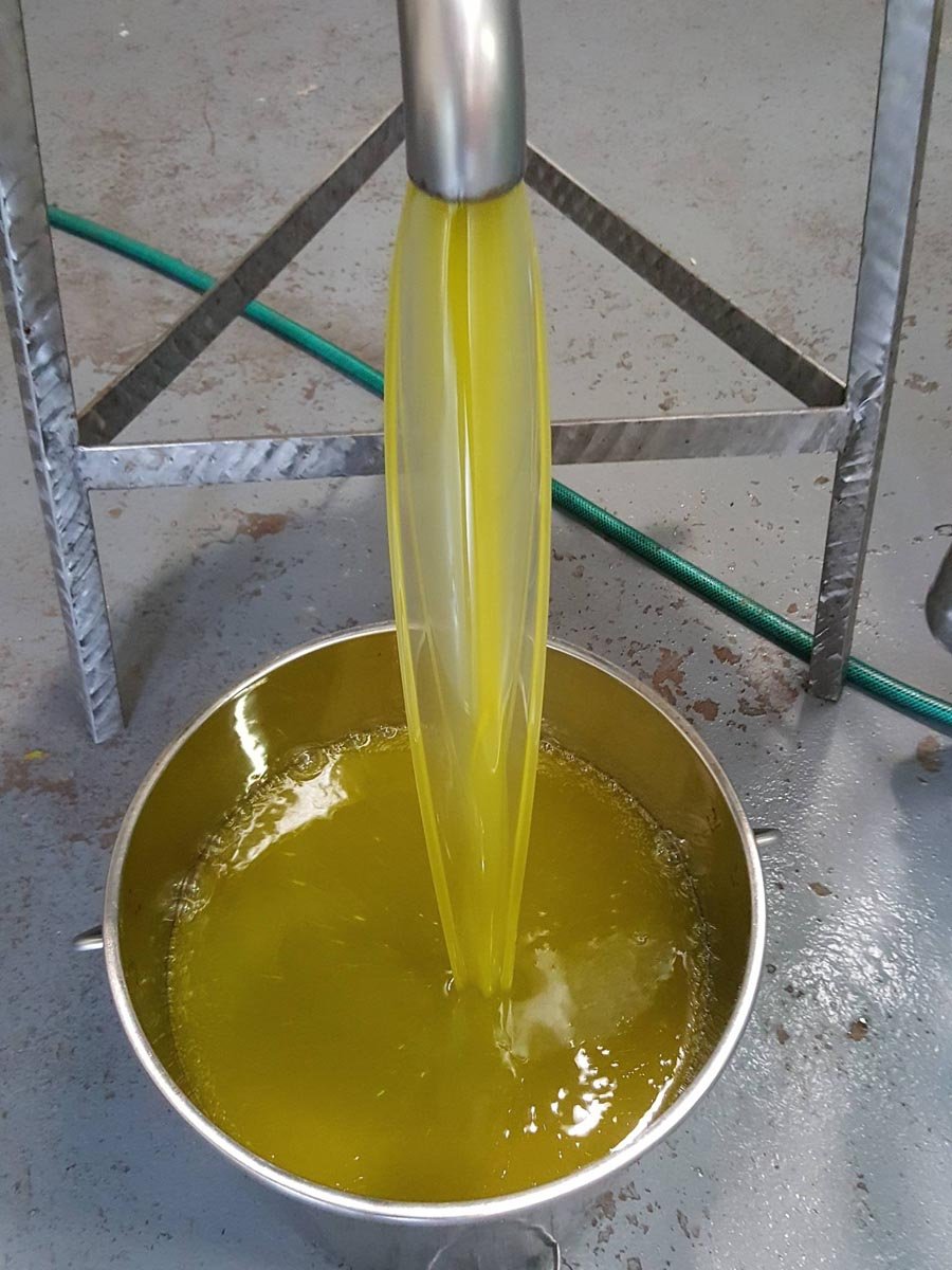 olive oil 4