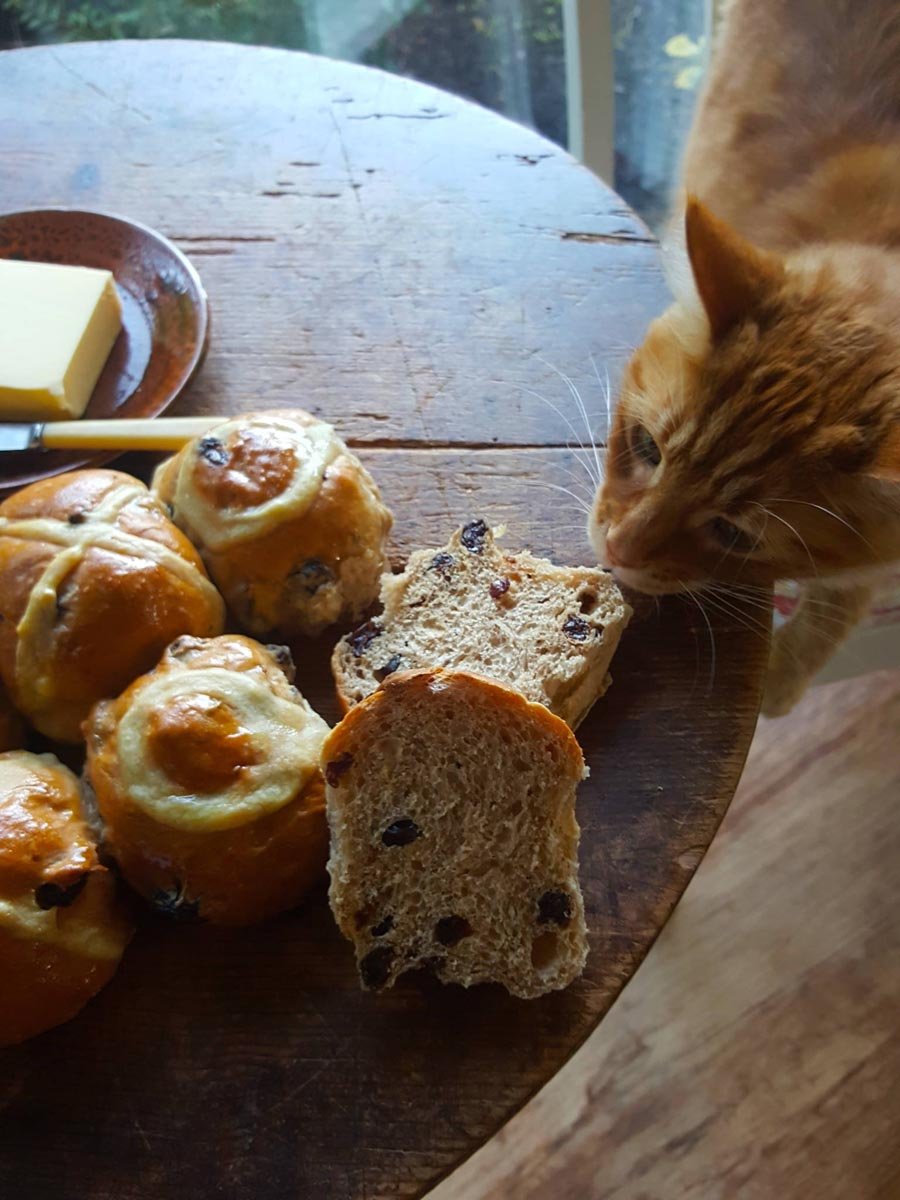 Ringawera hot cross buns 1