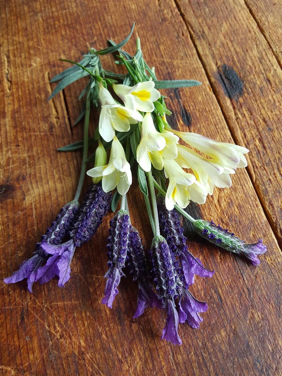 Spring