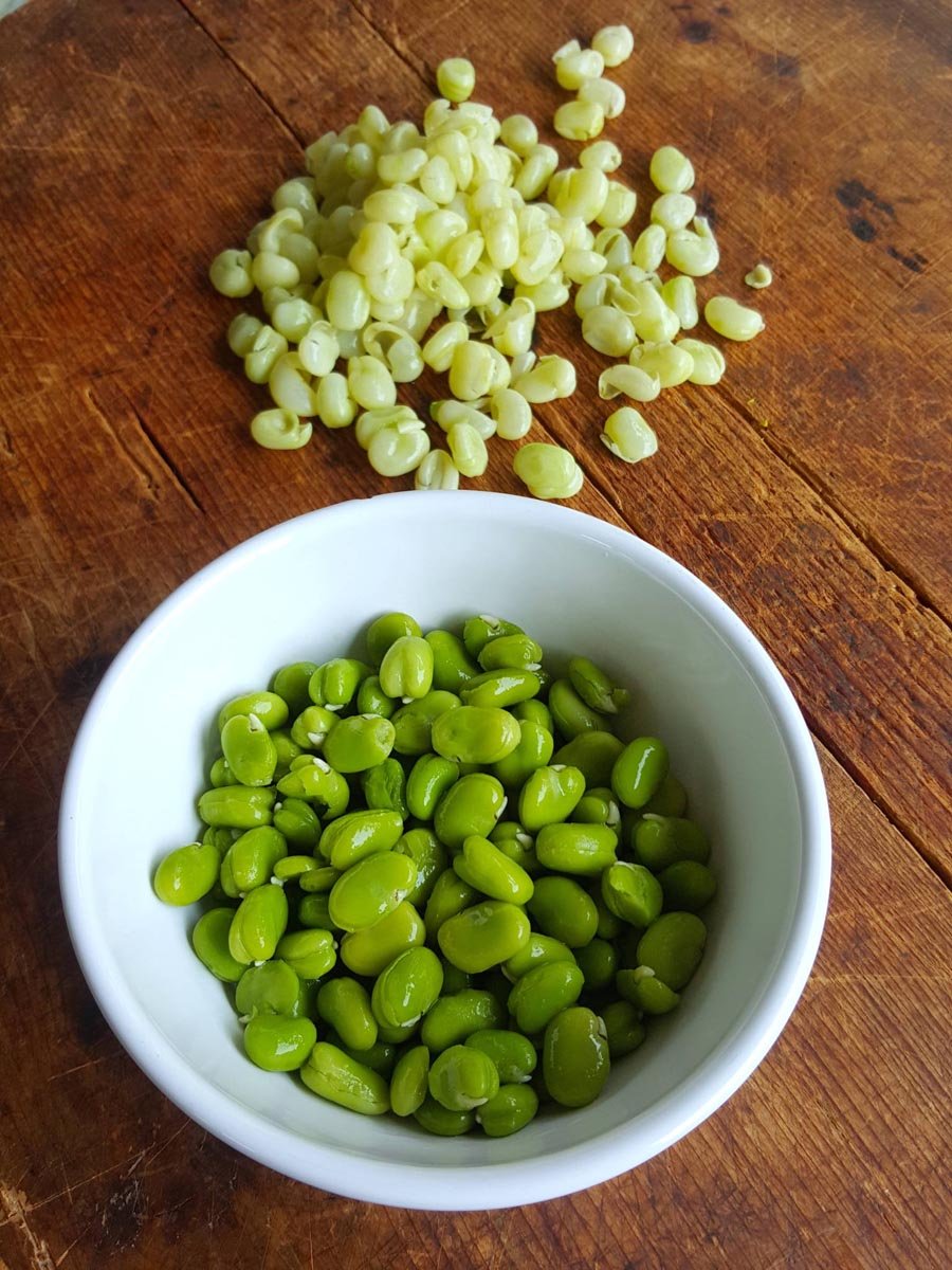 Broad beans