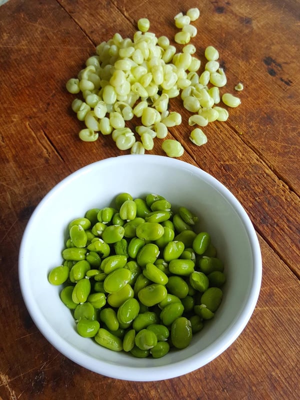 Broad beans