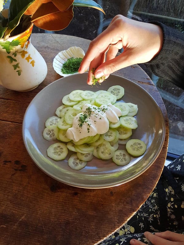 Cucumber salad 5