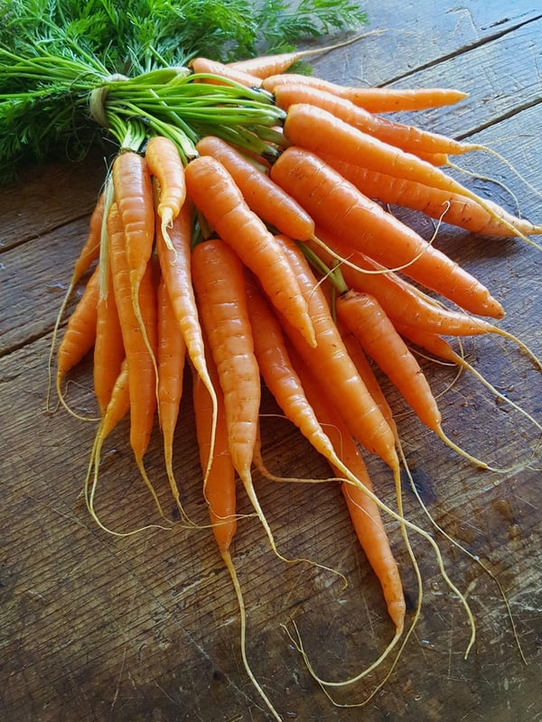Warm Carrot Salad 2