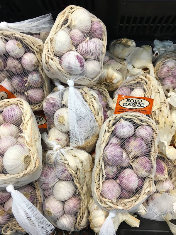 Chinese garlic