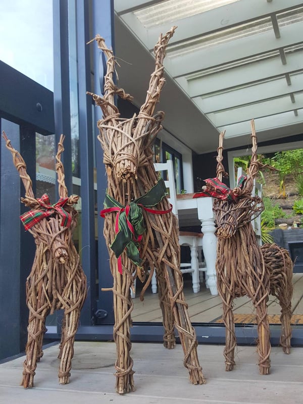 Reindeers