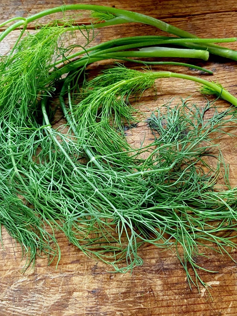 Dill