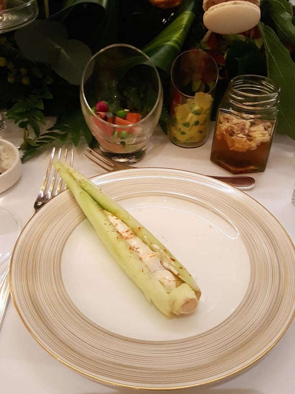 High Tea Cordis 5