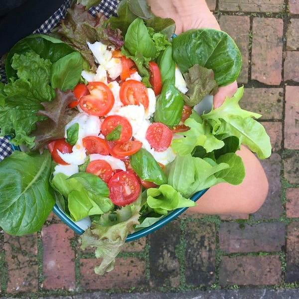 Summer Caprese Salad 1
