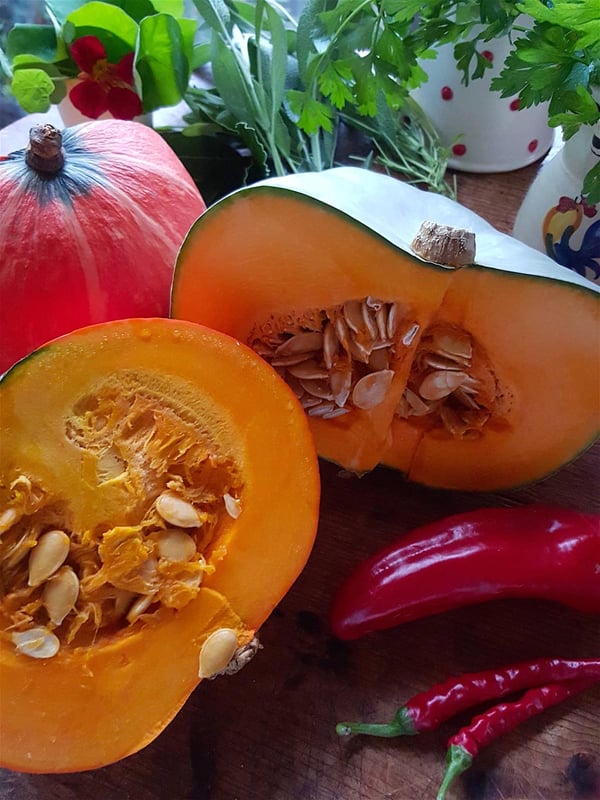 Pumpkin 1