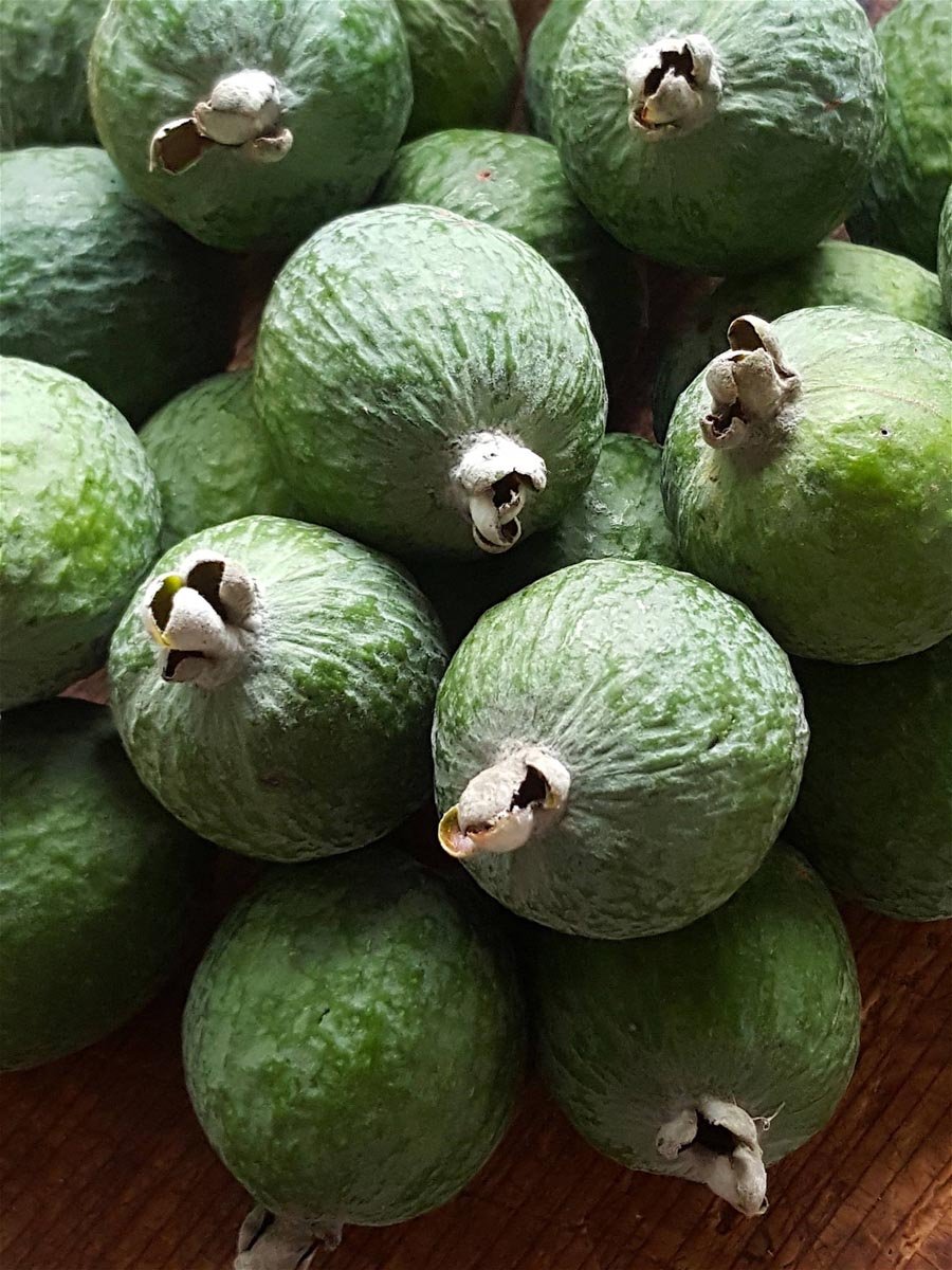Feijoas Poached in White Wine 3