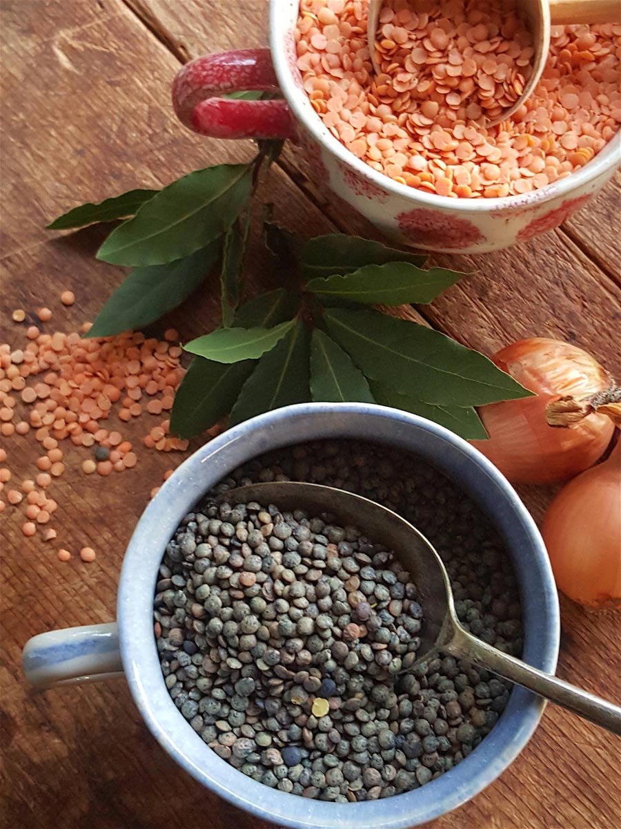 Lentils