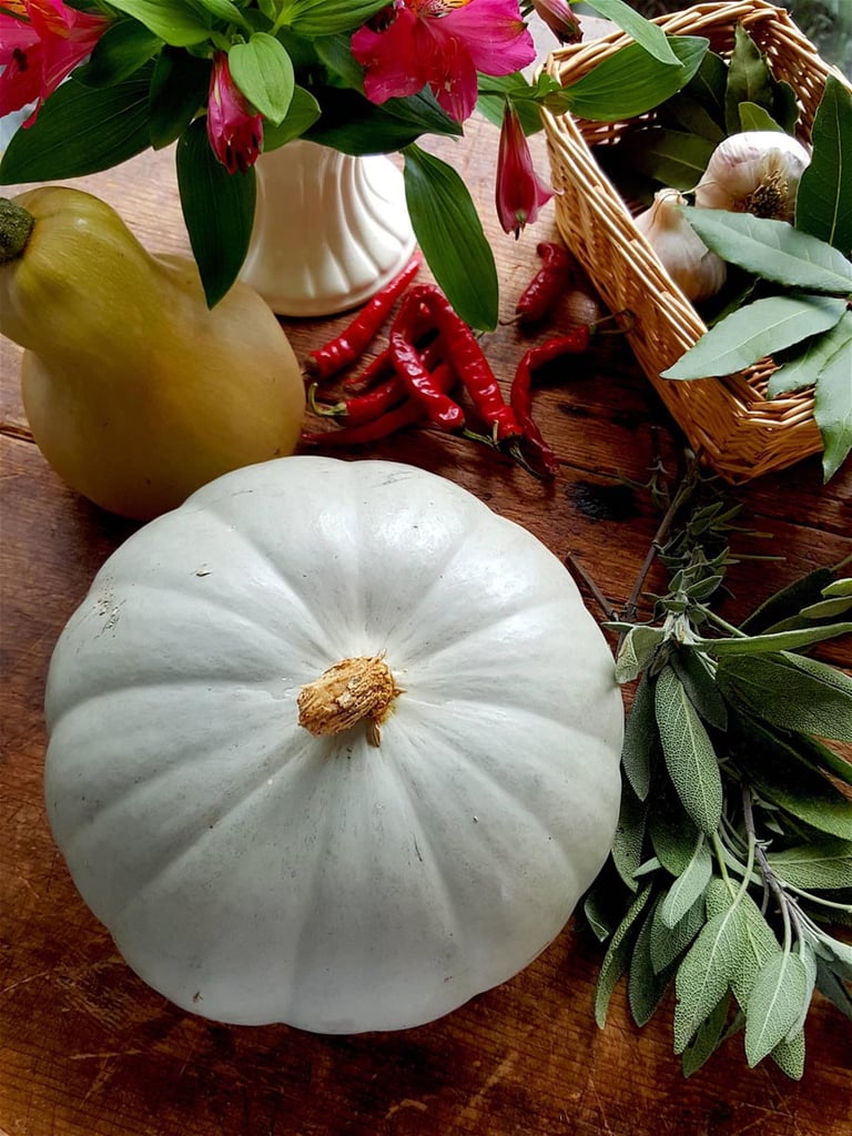 Pumpkin 1