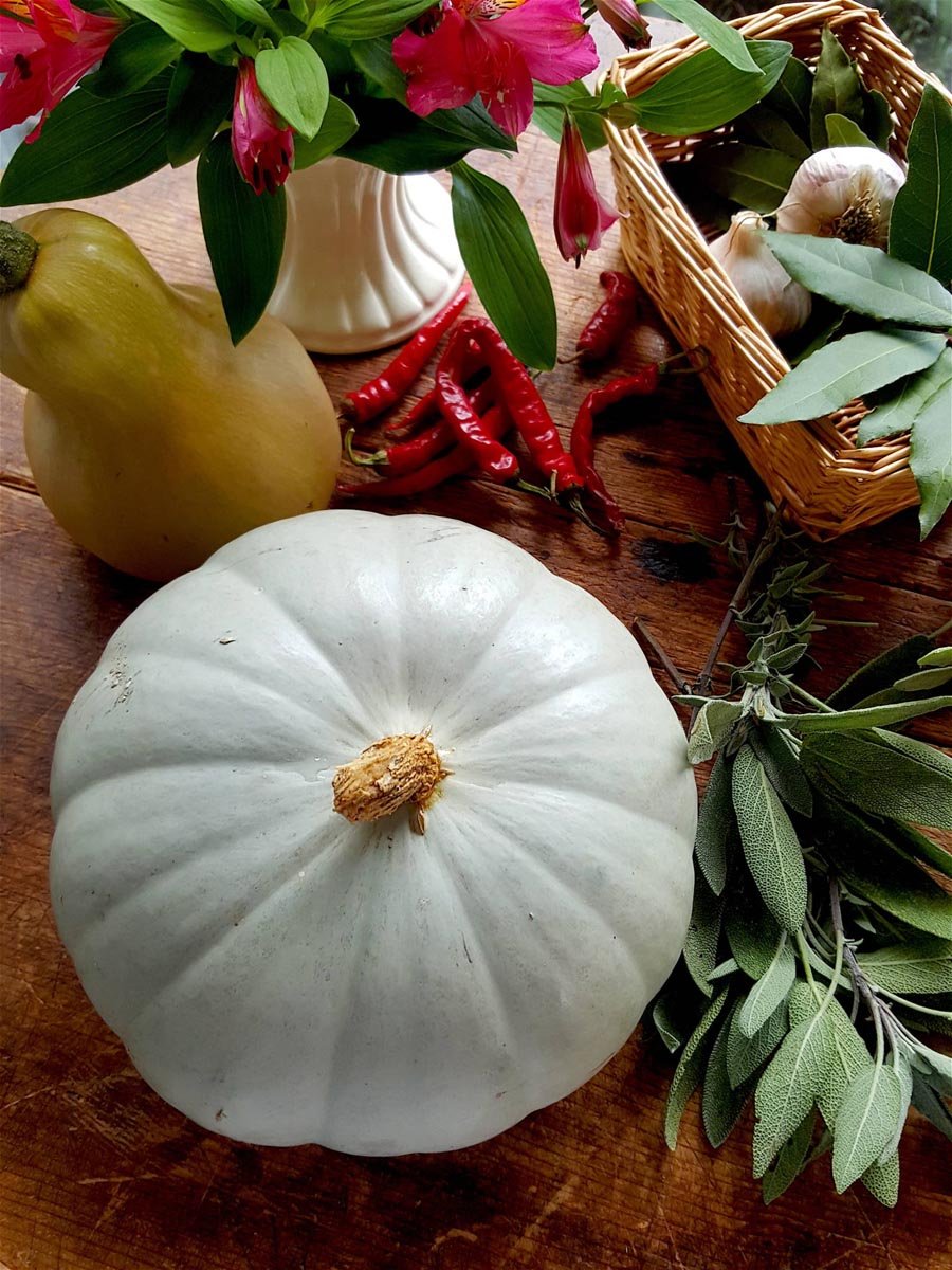 Pumpkin 1