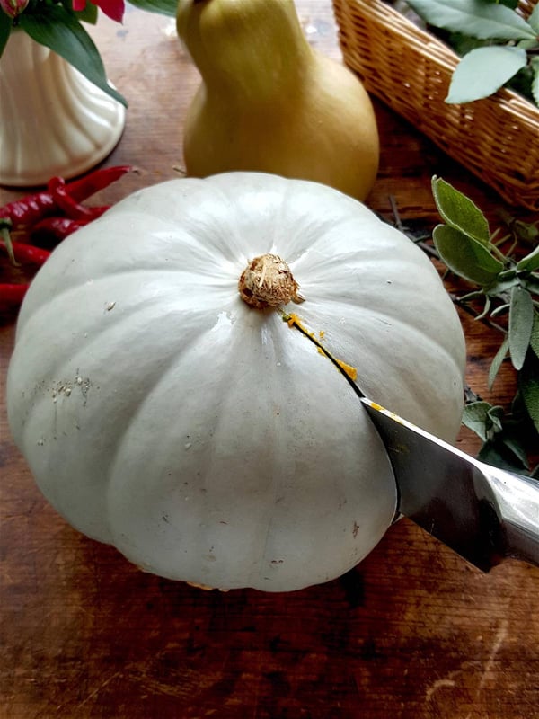 Pumpkin 2