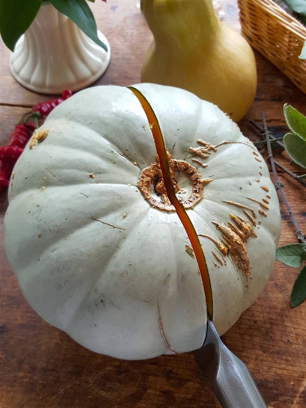 Pumpkin 3