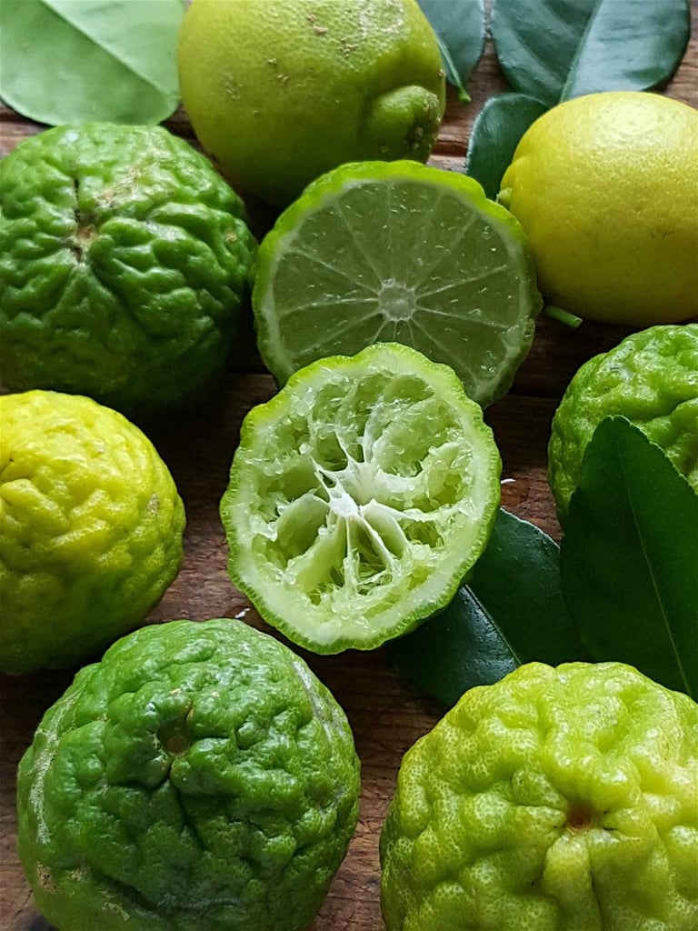 kaffir lime 1