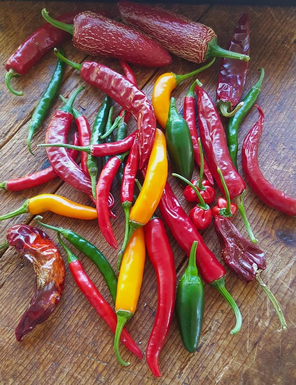 Chillies