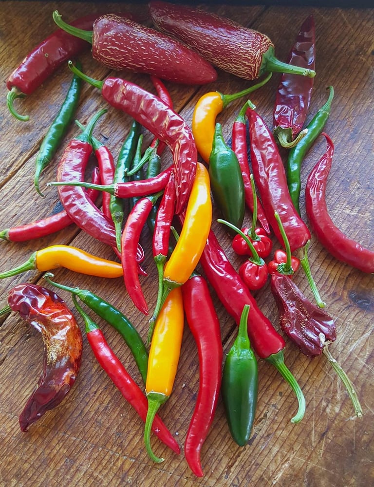 Chillies