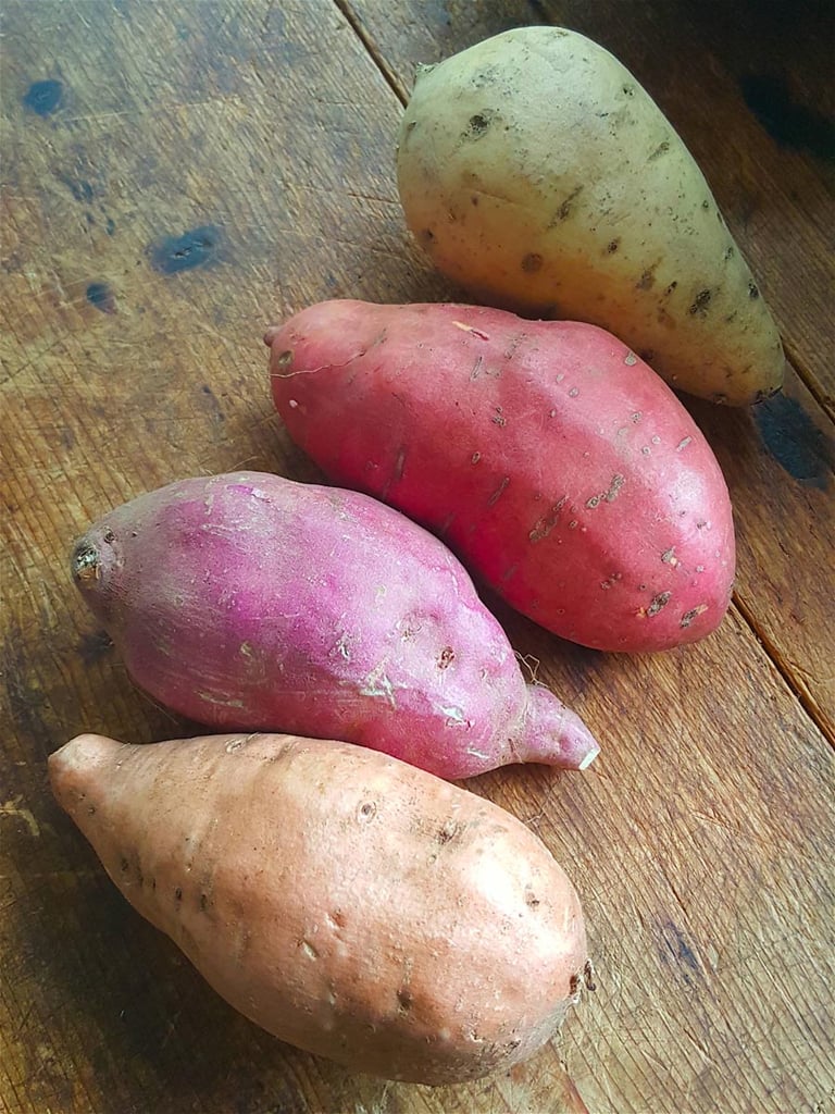 Kumara 1