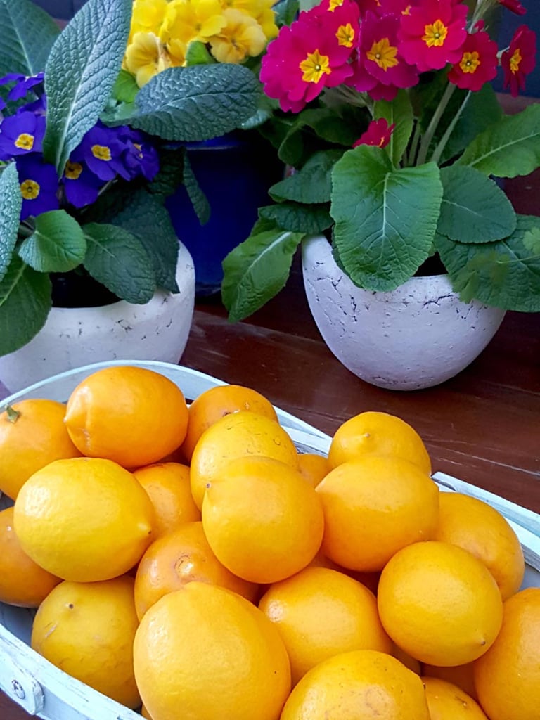 Lemons 1