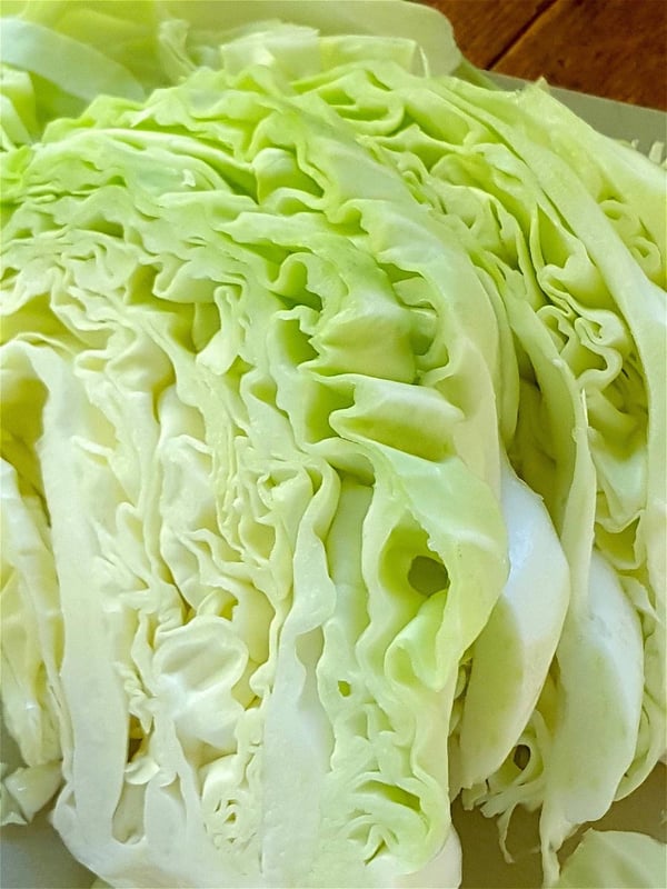 cabbage
