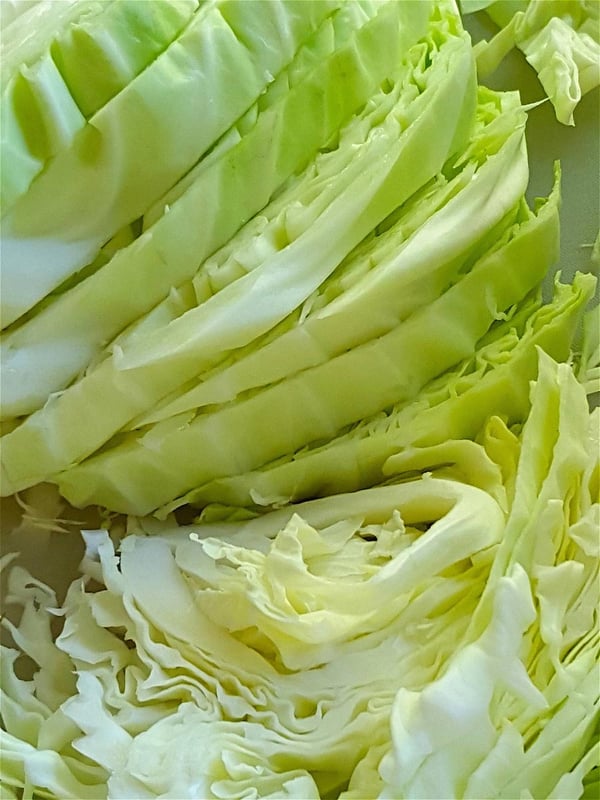 cabbage