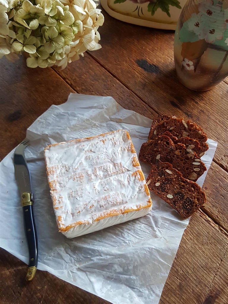 NZ Over the Moon Galactic Gold washed rind cheese
