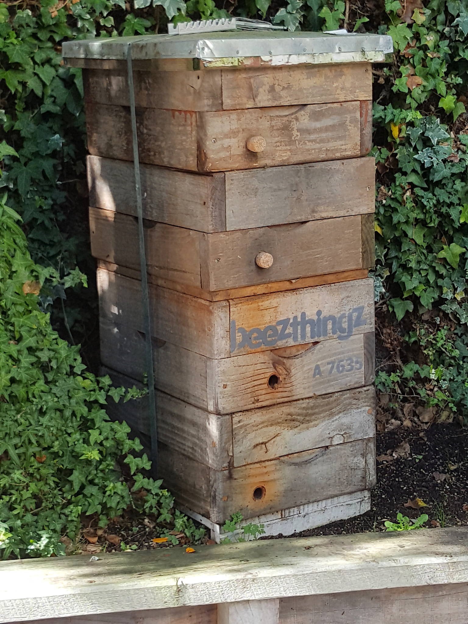French Café's beehives