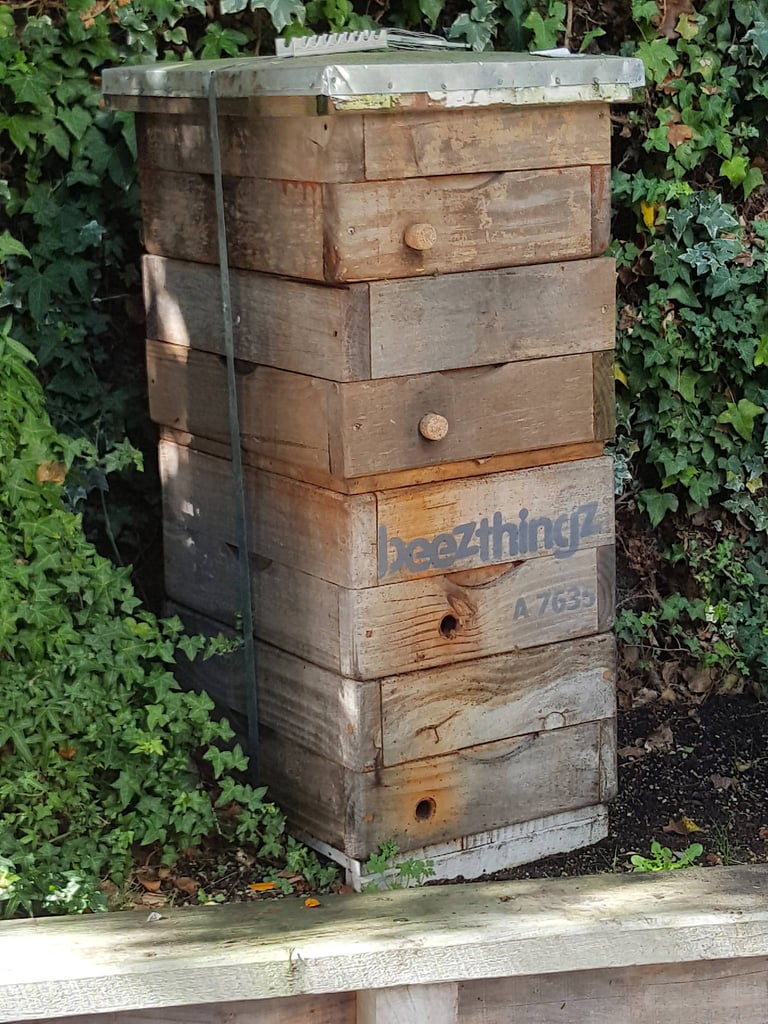 French Café's beehives