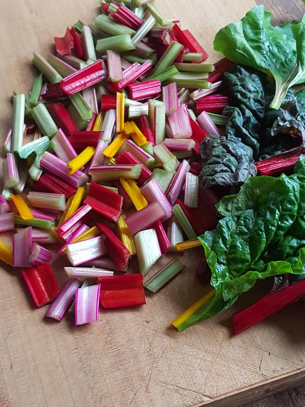 Rainbow chard so pretty!