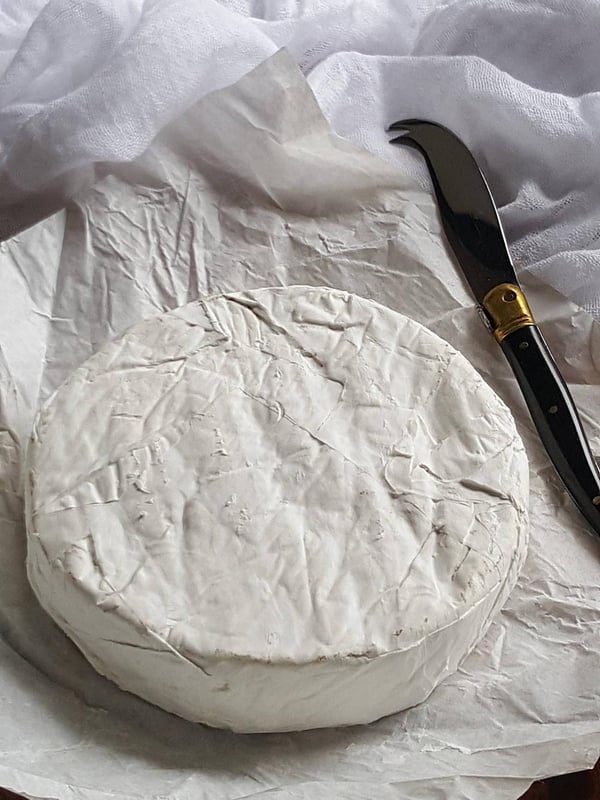 Waimata Brie