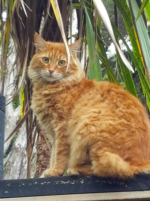 Humpf outside