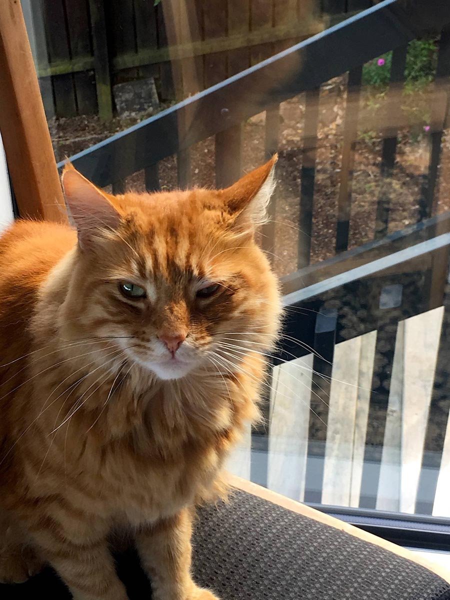 Humpf with wonky eye