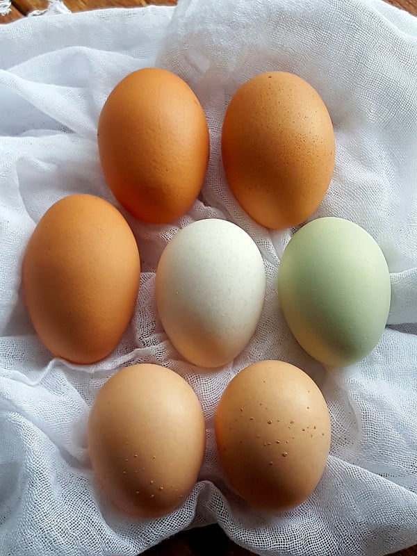 Eggs