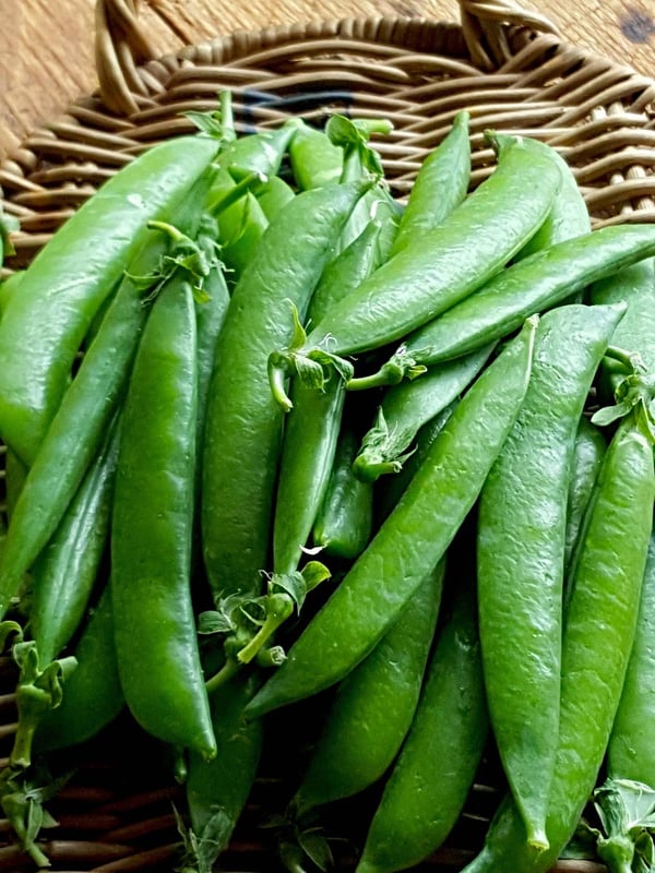 Fresh peas