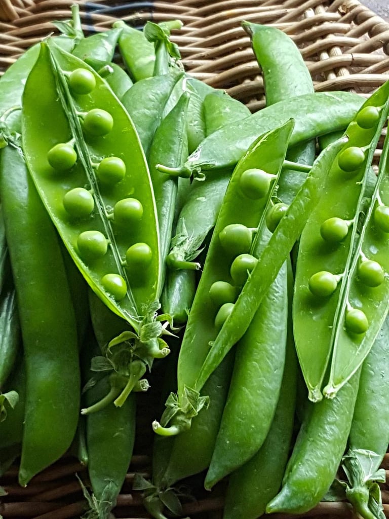 Fresh baby peas