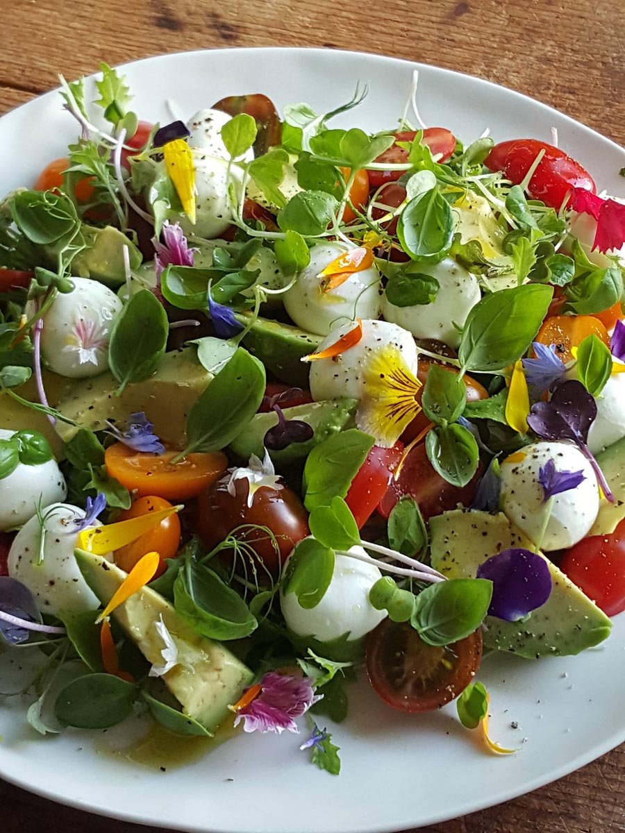 Mozzarella & Tomato Salad Pretty as a picture