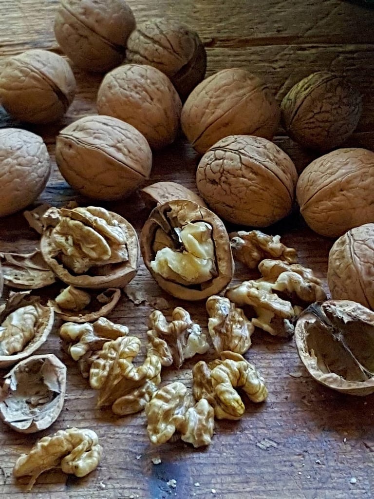 Walnut, Celery & Apricot Stuffing – good for vegetarians