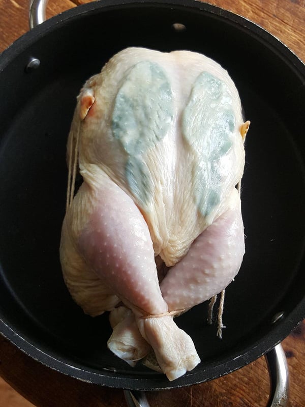 Smother chicken with yoghurt marinade