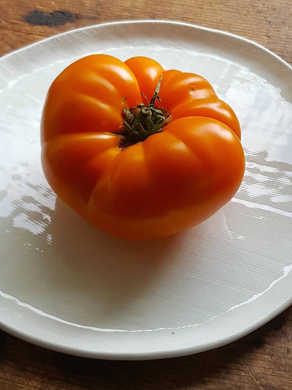 Tomato For One!