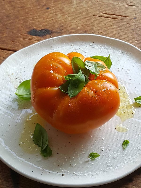 Tomato For One