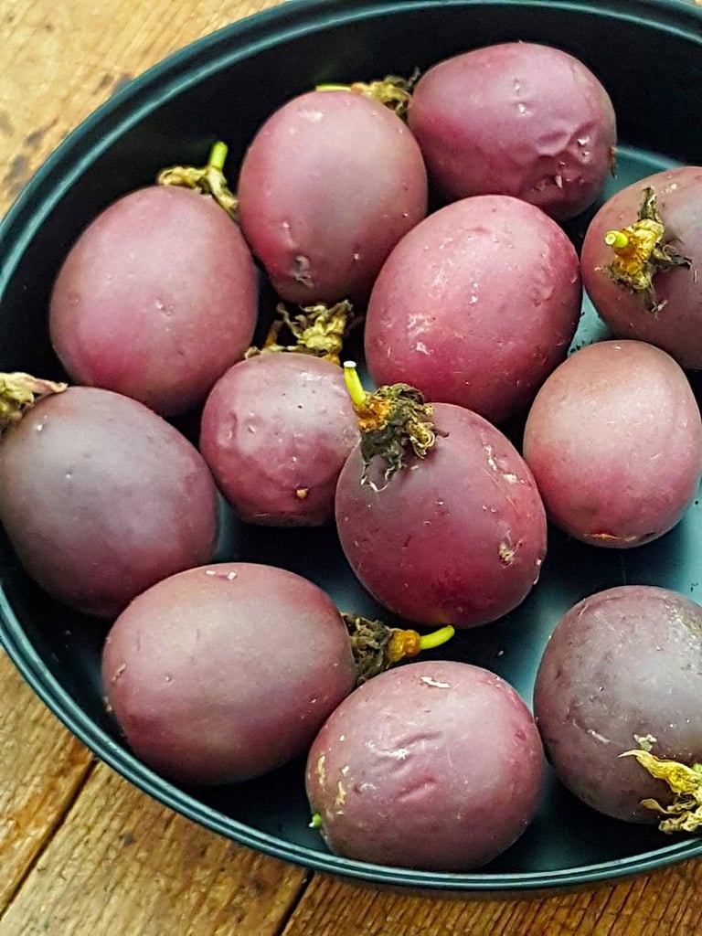 Melting moments|Melting moments|Passionfruit